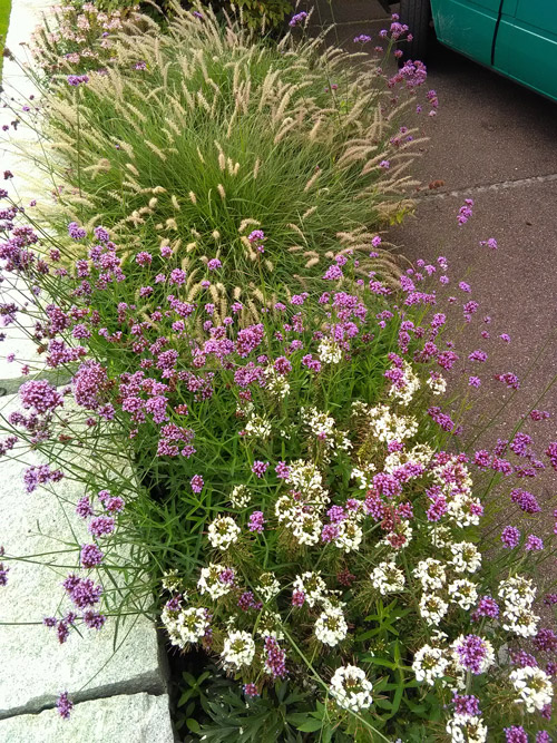 Gartenpflege Basel